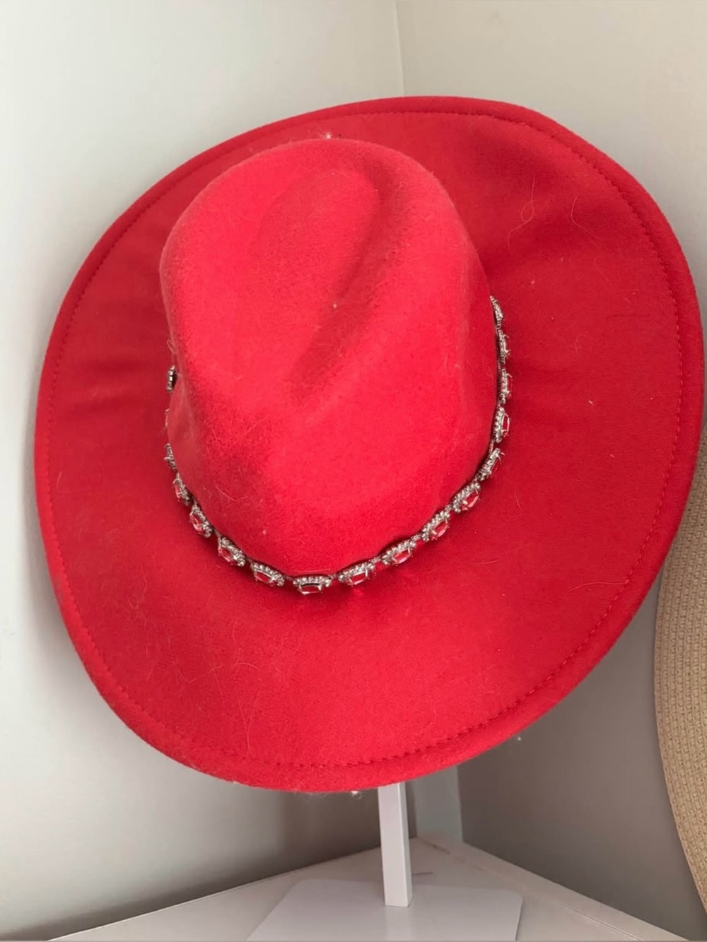 NWT fedora hat
